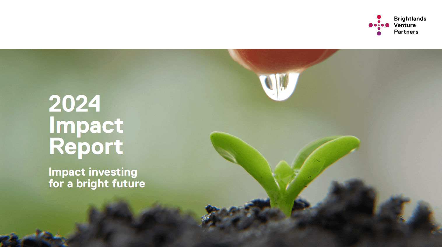 BVP 2024 Impact Report Now Available! ~ BVP